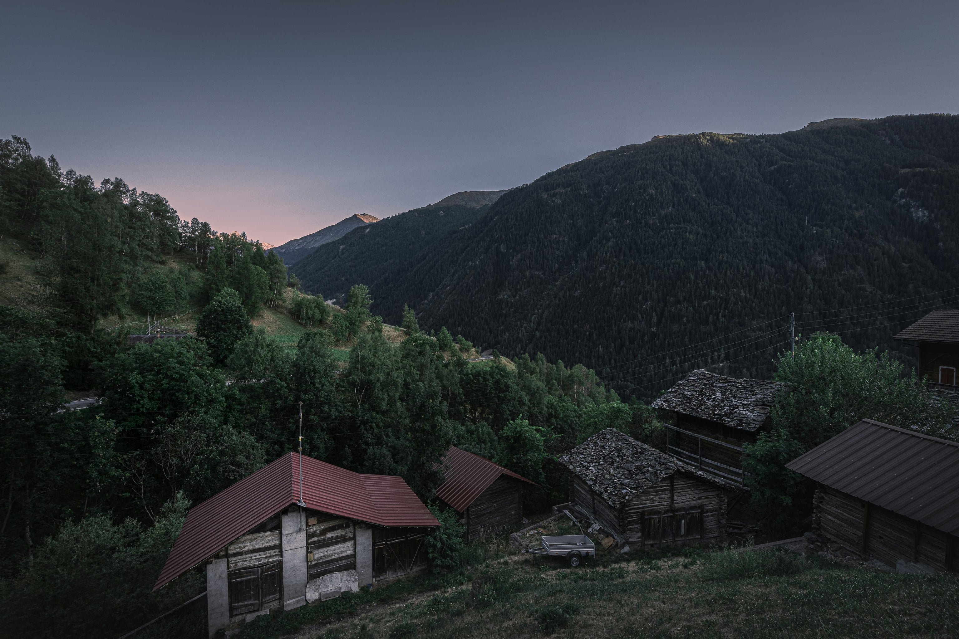 Отново към корените